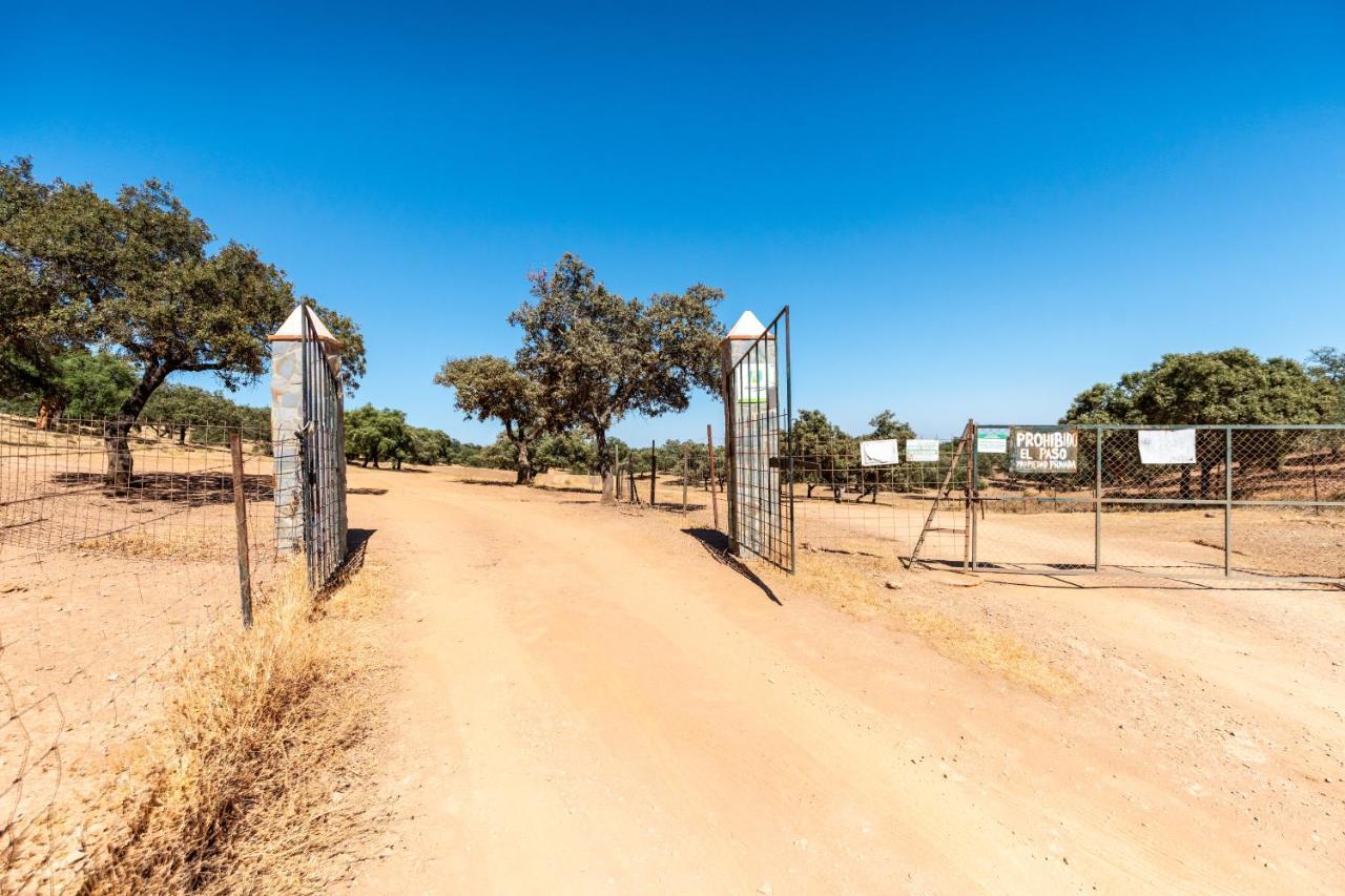 Casa Rural Quejigo Con Piscina 圣奥拉利亚德尔卡拉 外观 照片