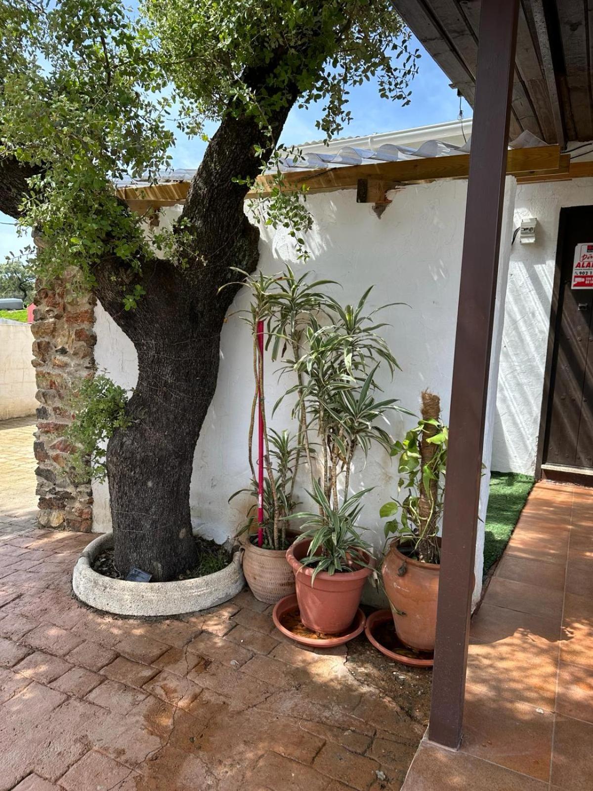 Casa Rural Quejigo Con Piscina 圣奥拉利亚德尔卡拉 外观 照片